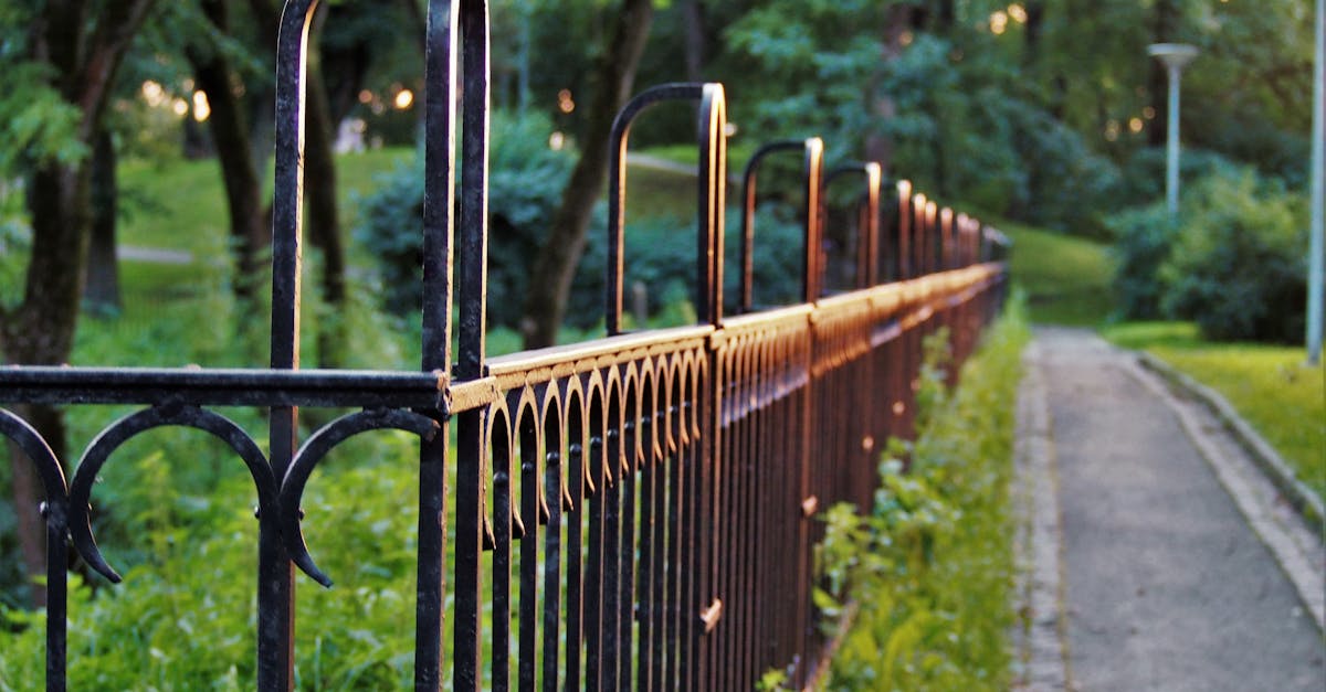 How do you repair a hole in a wood fence?